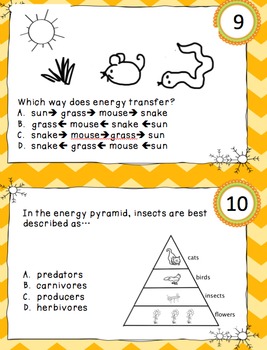 24 Task Cards Food Chains Food Webs by Teacher Dock | TpT