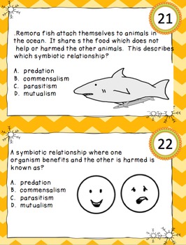 24 Task Cards Food Chains Food Webs by Teacher Dock | TpT