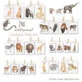24x wild animal vocabulary flashcards
