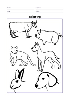 Preview of 7 sheets of animals Coloring Worksheets