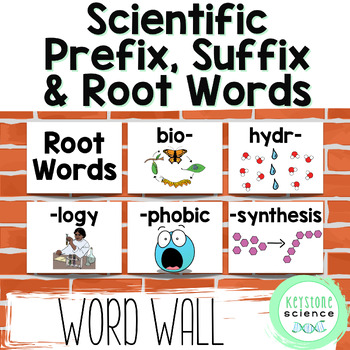 Preview of 25 Common Science Prefix Suffix Root Word Vocabulary Word Wall Posters ESL ELL