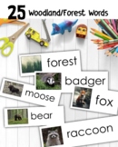 25 Forest Woodland Words Animals Real Photos Word Wall