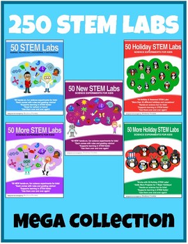 Preview of 250 STEM Labs - 5 books in 1 - stem challenges physics projects experiments