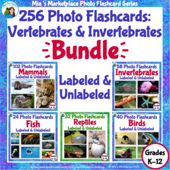 Preview of 256 Animal Photo Flashcards: Vertebrates and Invertebrates Megabundle