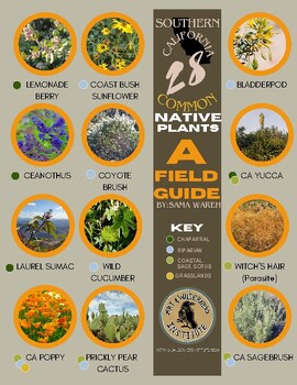 Preview of 28 Common Southern CA Plants FIELD GUIDE