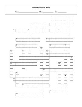 28 Order Mammal Taxonomy Classification Crossword with Key TpT