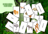 28 Wild Animal Flash Card Set - Ready to Print, Double-Sid