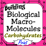 Carbohydrates Building Biological Macromolecules Print Version