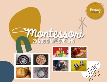 Preview of 2D & 3D Shape Sort Montessori