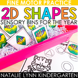 2D Shape Sensory Bins Preschool Pre-k + Kindergarten Math 
