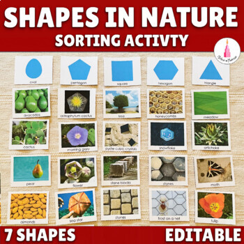 2D Shapes Sorting Activity Math Center - Montessori Shapes in Nature