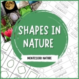 2D Shapes in Nature Montessori Cards Student Worksheet