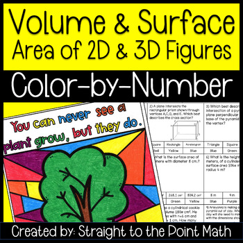 Preview of Volume & Surface Area of 2D & 3D Figures Color by Number Geometry Review