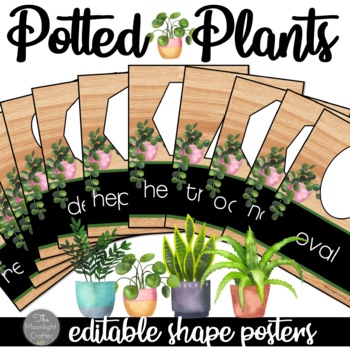 Preview of 2D and 3D Shape Posters | Editable | Potted Plants Theme