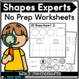 2D and 3D Shapes Worksheets | 2D Shapes Worksheets | 3D Sh