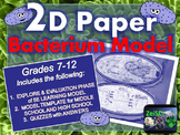 Bacteria 2D Paper Model (Foldable)