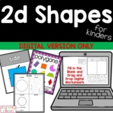 Flat Shapes, 2d Shapes, DIGITAL VERSION ONLY, DISTANCE LEARNING