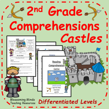 Preview of 2nd Grade Castles Reading Comprehension