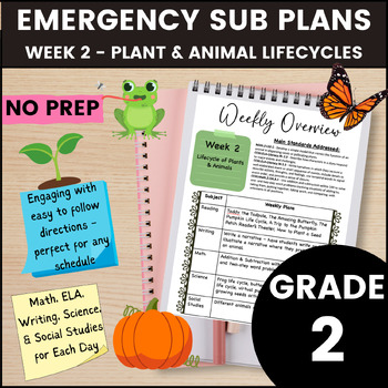 Preview of 2nd Grade Emergency Sub Plans Week 2 - Pumpkin, Frog, Butterfly Life Cycles