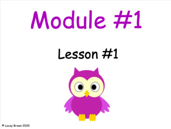 Preview of 2nd Grade Engage NY PowerPoint Module #1 Lesson #1