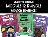 2nd Grade HMH Into Reading Module 12 Mentor Sentence Bundle