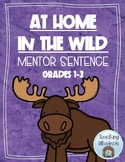 2nd Grade HMH Into Reading Module 12 Week 3 Mentor Sentenc