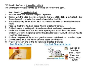2nd Grade HMH Into Reading Module 2 Week 3 - The Puddle Puzzle | TPT