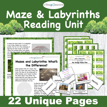 Preview of 2nd Grade Maze Labyrinths Nonfiction Reading Questions RI.2.1 Synonyms L.2.5