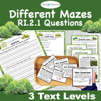 Preview of 2nd Grade Mazes Nonfiction Reading Lesson RI.2.1 Ask and Answer Questions