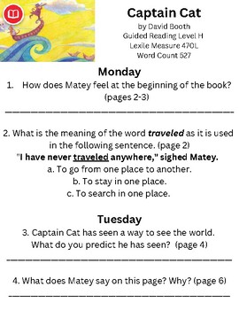 Preview of 2nd Grade MyView Reader Questions Unit 1