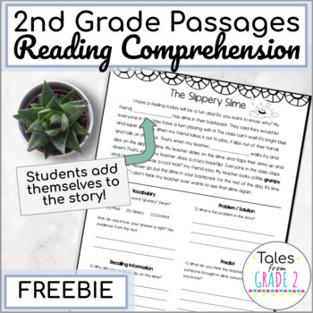 Preview of 2nd Grade Reading Comprehension Passages