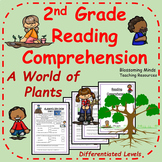 2nd Grade Reading Comprehension : Plants