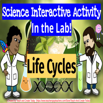 Preview of 2nd Grade Science Activity Life Cycles Digital Review