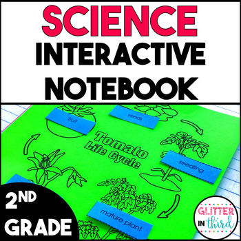 Preview of 2nd Grade Science Interactive Notebook Activities Bundle