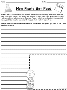 2nd grade science writing prompts by food for taught tpt