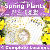 2nd Grade Spring Plant Flower Reading Nonfiction Unit Bund