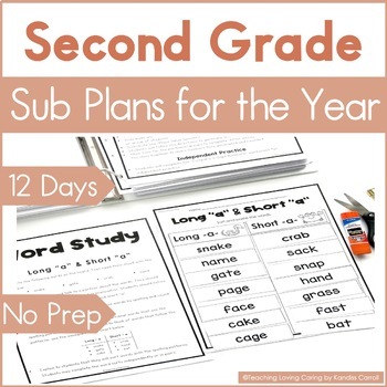 Preview of Second Grade Emergency Sub Plans for Sub Tub or Sub Binder YEAR LONG BUNDLE