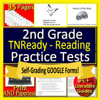 Preview of 2nd Grade TCAP TNReady Reading Practice Tests Passages and Questions - TN Ready