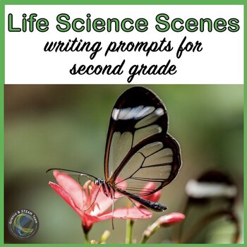 Preview of 2nd Grade Writing Prompts for Life Science