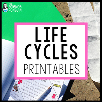 Preview of Animal & Plant Life Cycle | 2nd Grade Worksheets | Of a Frog, Butterfly, Penguin