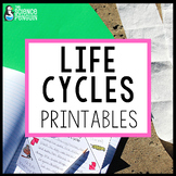Animal & Plant Life Cycle | 2nd Grade Worksheets | Of a Fr