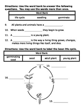 2nd grade ng science life cycle ch 1 test word by