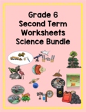 2nd term grade six science worksheets bundle