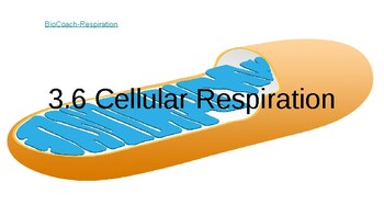 Preview of 3.6 Cellular Respiration