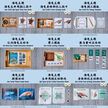 Preview of 3-6 Montessori-inspired Bilingual Sea Turtle Theme Activity Pack 蒙氏海龟主题教学活动合集