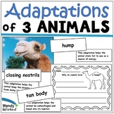 3 Animal Structures and Functions | Adaptations and Extern