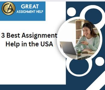 Preview of 3 Best Assignment Help in the USA