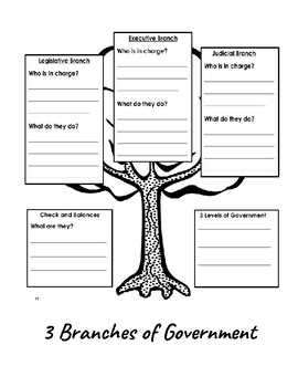 Preview of 3 Branches of Government Graphic Organizer