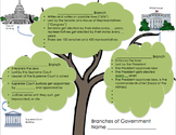 3 Branches of Government Interactive Worksheet