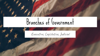 Preview of 3 Branches of Government Lessons